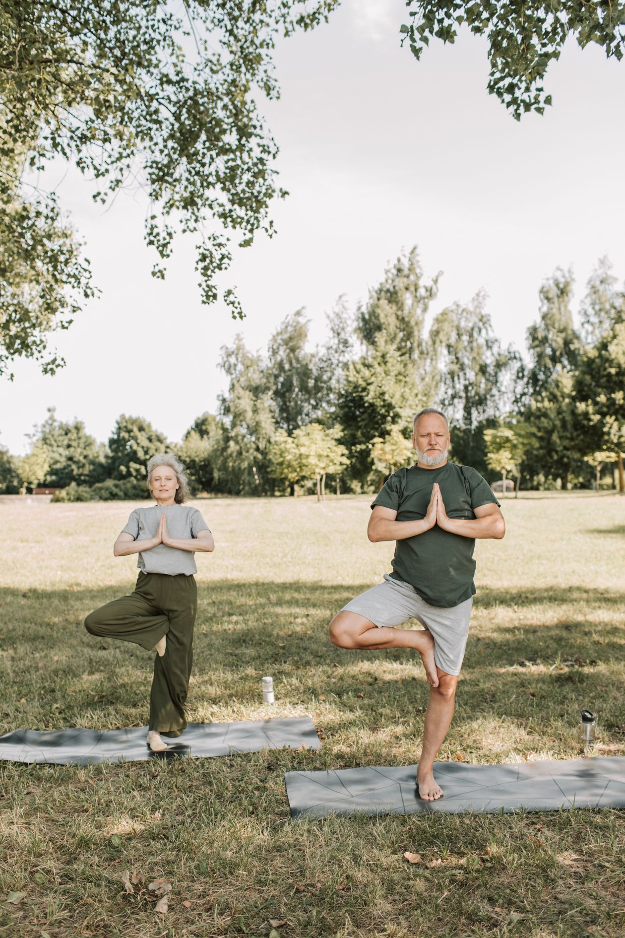 elderly couple performing tree pose yoga balance exercises outdoors in a park