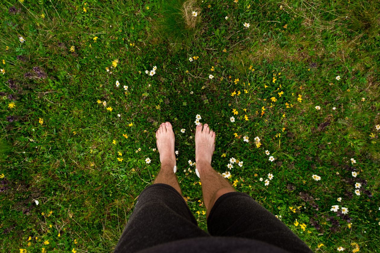 bare feet standing on lush grassy meadow with wildflowers representing earthing and grounding for inflammation and sleep health