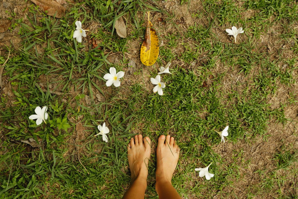 barefoot feet on grassy ground with white flowers showing earthing grounding practice connection with nature for health