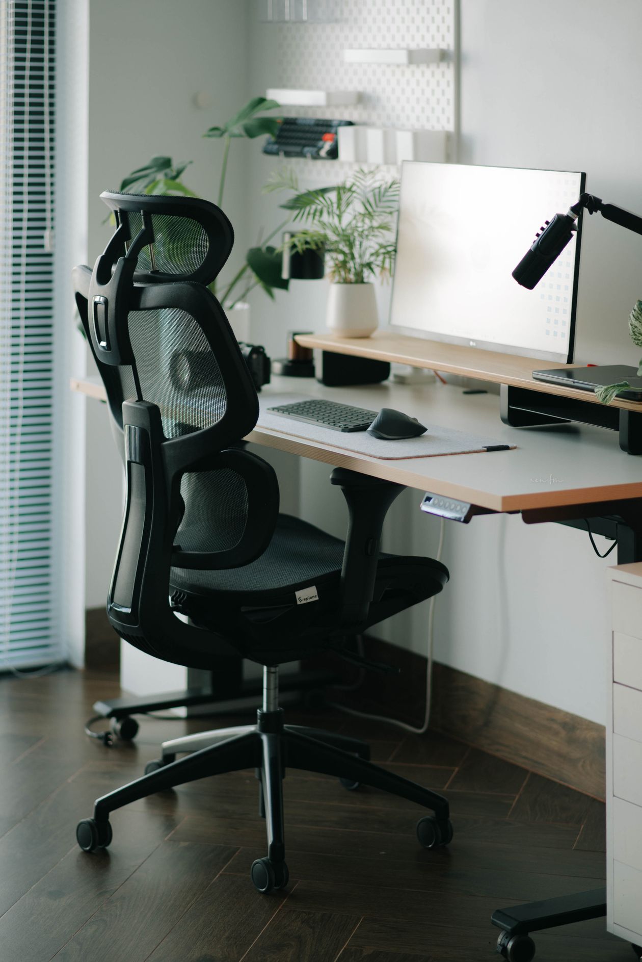 modern home office with ergonomic mesh chair desk setup designed for back support and posture