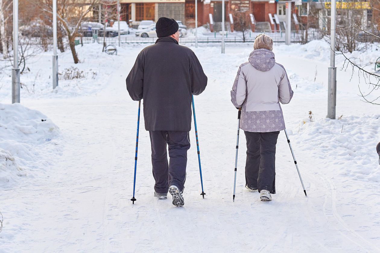 senior couple nordic walking together with poles in a snowy park environment