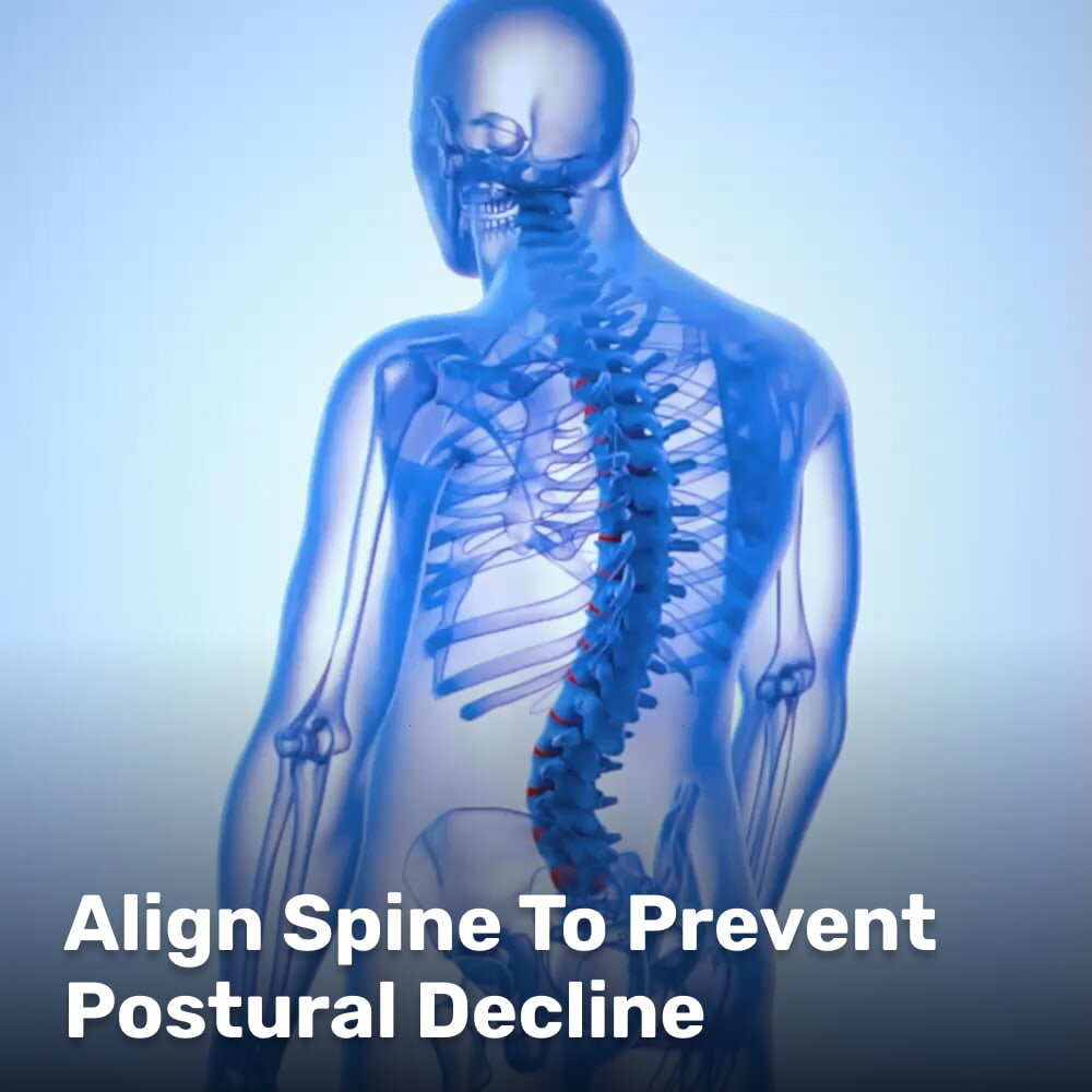 WellaBack posture corrector how it works step by step demonstration