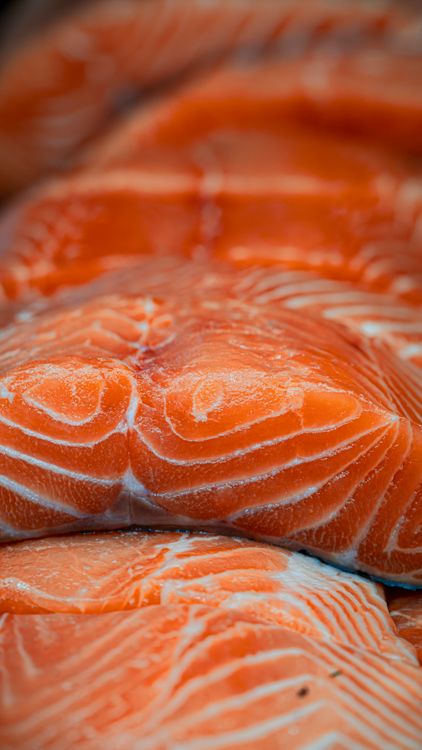 Fresh salmon fillets rich in omega-3 fatty acids EPA and DHA for joint health and anti-inflammatory nutrition