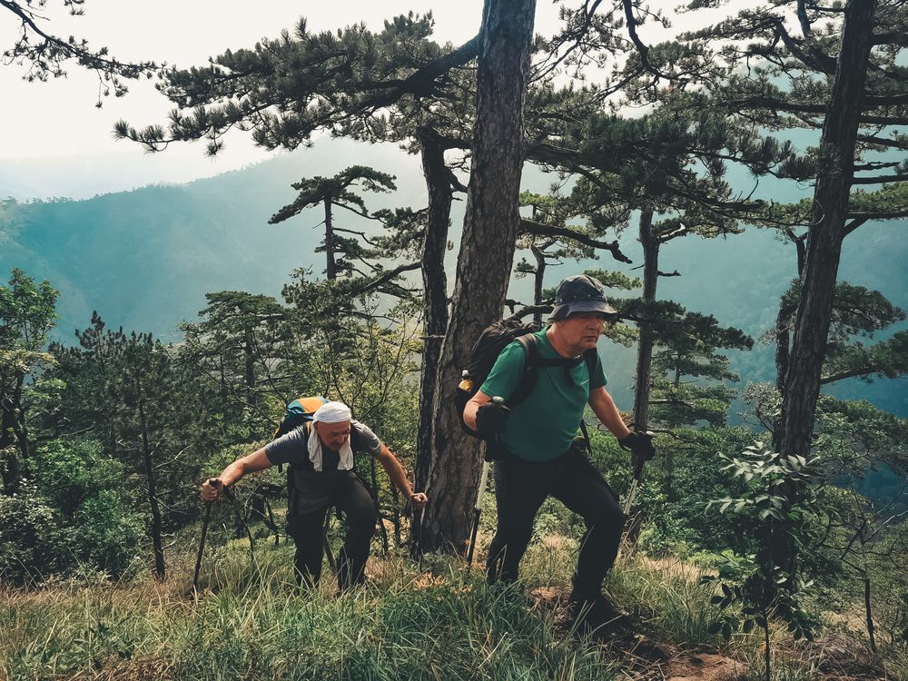 Senior couple hiking on forest trail showing active outdoor mobility and knee health practices for adults over 40